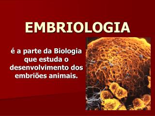 EMBRIOLOGIA