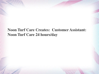 Noon Turf Care reviews