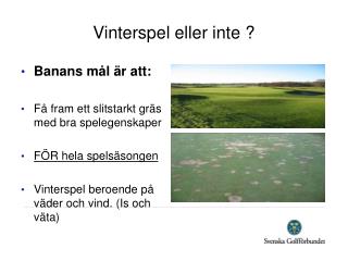 Vinterspel eller inte ?