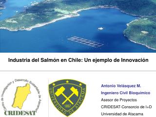 Industria del Salmón en Chile: Un ejemplo de Innovación