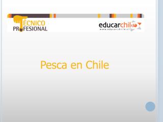 Pesca en Chile