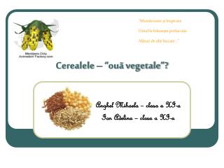 Cerealele – “ouã vegetale”?