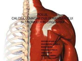 ROLUL CALCIULUI,MAGNEZIULUI,MANGANULUI SI CROMULUI IN ORGANISM