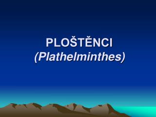 PLOŠTĚNCI (Plathelminthes)