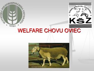 WELFARE CHOVU OVIEC