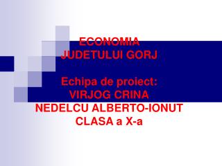 ECONOMIA JUDETULUI GORJ Echipa de proiect: VIRJOG CRINA NEDELCU ALBERTO-IONUT CLASA a X-a