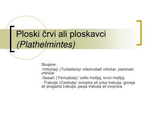 Ploski črvi ali ploskavci (Plathelmintes)