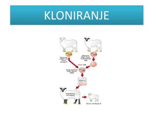 KLONIRANJE