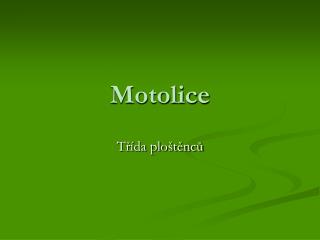 Motolice