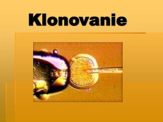 Klonovanie