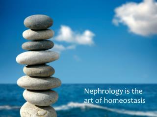 Nephrology is the art of homeostasis