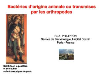 Bactéries d’origine animale ou transmises par les arthropodes