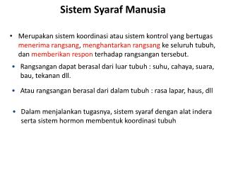 Sistem Syaraf Manusia