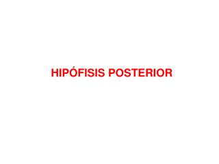 HIPÓFISIS POSTERIOR