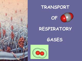 TRANSPORT 	 OF RESPIRATORY GASES