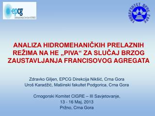 Zdravko Giljen, EPCG Direkcija Nikšić, Crna Gora