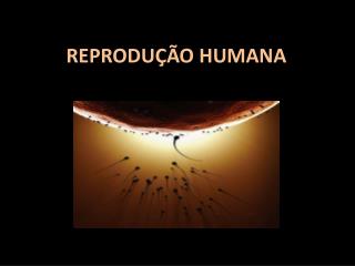 REPRODUÇÃO HUMANA