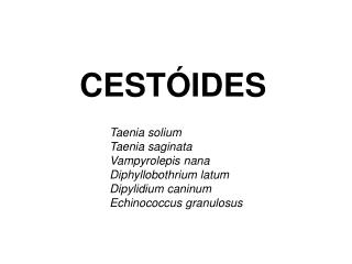 CESTÓIDES