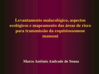 Marco Antônio Andrade de Souza
