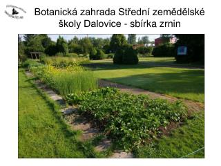 Botanická zahrada Střední zemědělské školy Dalovice - sbírka zrnin