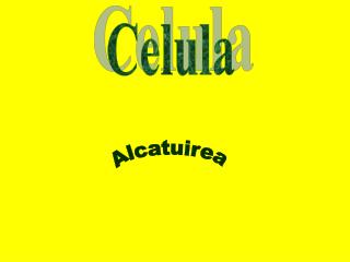 Celula