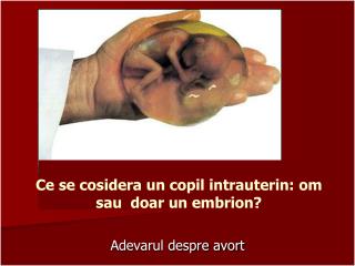 Ce se cosidera un copil intrauterin : om sau doar un embrion ?