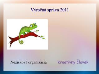 Výročná správa 2011