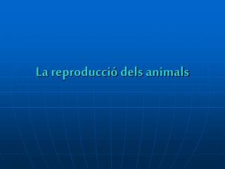 La reproducció dels animals