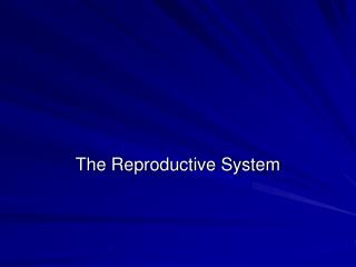 The Reproductive System