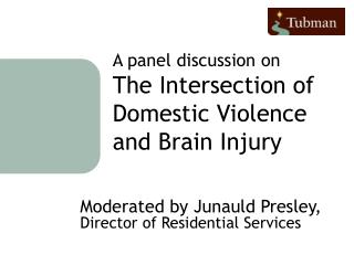 A panel discussion on The Intersection of Domestic Violence and Brain Injury