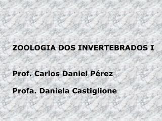 ZOOLOGIA DOS INVERTEBRADOS I Prof. Carlos Daniel Pérez Profa. Daniela Castiglione