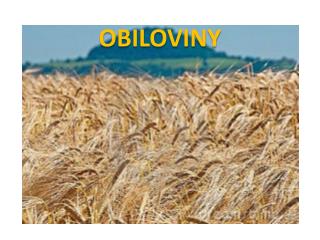 OBILOVINY