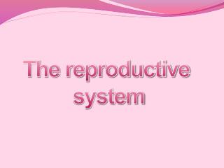 The reproductive system