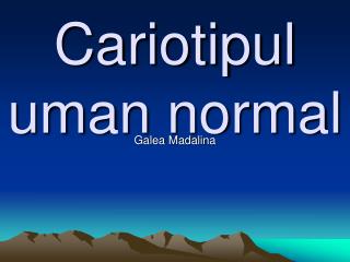 Cariotipul uman normal