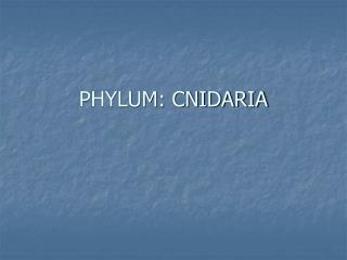 PHYLUM: CNIDARIA