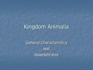 Kingdom Animalia