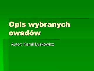 Opis wybranych owadów