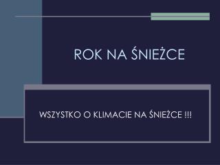 ROK NA ŚNIEŻCE