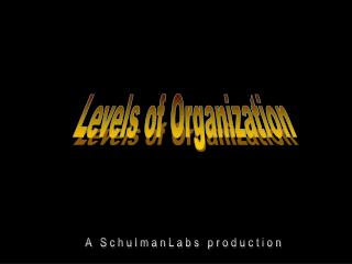 Levels of Organization