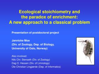 Ecological stoichiometry and the paradox of enrichment: A new approach to a classical problem