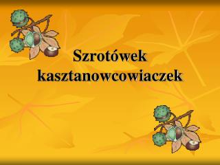 Szrotówek kasztanowcowiaczek