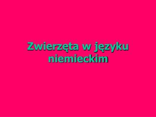 Zwierzęta w języku niemieckim