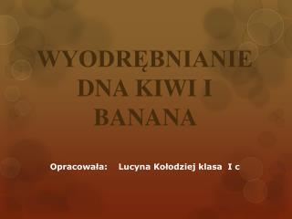 WYODRĘBNIANIE DNA KIWI I BANANA