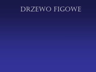 Drzewo figowe