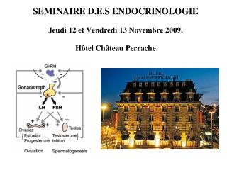 SEMINAIRE D.E.S ENDOCRINOLOGIE Jeudi 12 et Vendredi 13 Novembre 2009. Hôtel Château Perrache