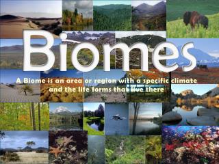 Biomes