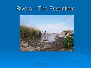 Rivers – The Essentials