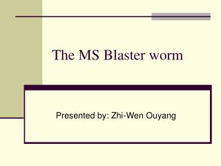 The MS Blaster worm
