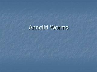 Annelid Worms