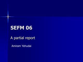 SEFM 06